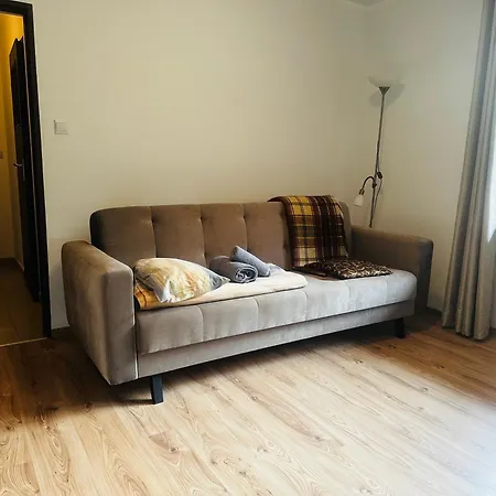 招待所 Nad Grajcarkiem - Pensjonat 什恰夫尼察