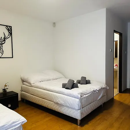 招待所 Nad Grajcarkiem - Pensjonat 3*