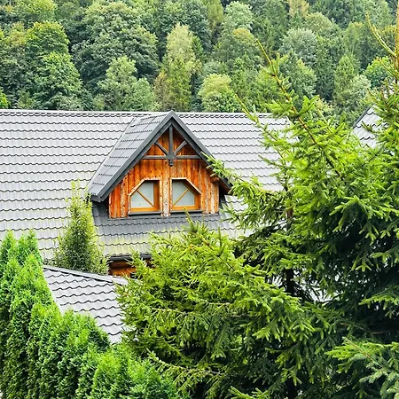 Nad Grajcarkiem - Pensjonat 3* 什恰夫尼察