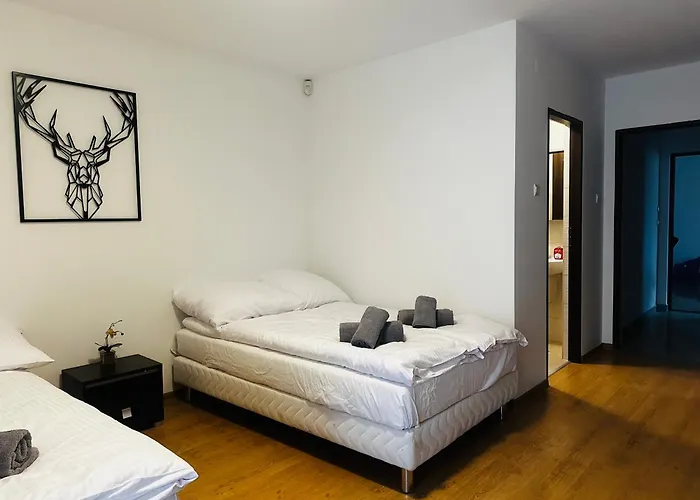 בית הארחה Nad Grajcarkiem - Pensjonat 3*